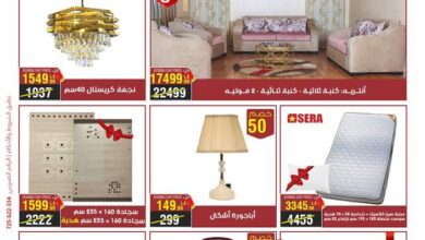 عروض المرشدى اليوم 8 نوفمبر حتى 9 نوفمبر 2024 عروض البوكسنج داى