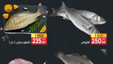 عروض المحلاوى ماركت الثلاثاء 3 ديسمبر 2024 شادر السمك