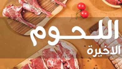 عروض فتح الله جملة من 24 فبراير حتى 8 مارس 2025 مهرجان اللحوم