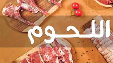 عروض فتح الله جملة من 9 فبراير حتى 23 فبراير 2025 مهرجان اللحوم