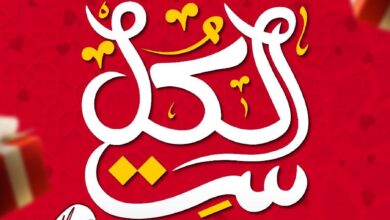 عروض المحلاوى ستورز من 19 مارس 2025 حتى نفاذ الكمية عروض ست الكل