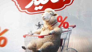 عروض المحلاوى ستورز من 25 مايو حتى 31 مايو 2025 خصومات العيد