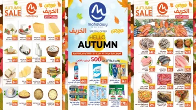 عروض اولاد المحلاوى من 24 اكتوبر حتى 2 نوفمبر 2025 خصومات الخريف