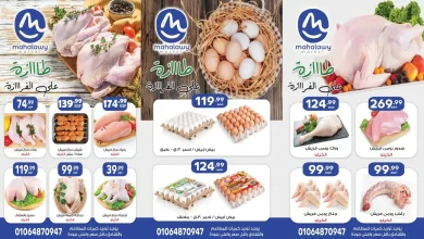 عروض اولاد المحلاوى من 17 نوفمبر 2025 طازة ع الفرازة