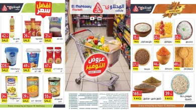 عروض المحلاوى ماركت من 30 نوفمبر حتى 4 ديسمبر 2025 عروض التوفير