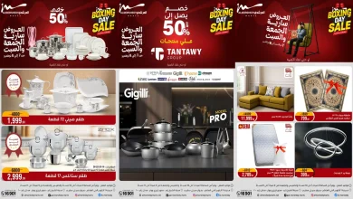 عروض المرشدى اليوم الجمعة والسبت 7 و 8 نوفمبر 2025 البوكسينج داى