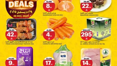 عروض اسواق الجزيرة السعودية اليوم الاثنين 29 ديسمبر 2025 عروض الاثنين الخاصة