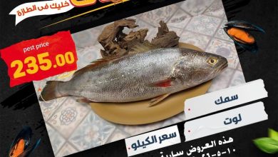 عروض المحلاوي 10-11 مايو 2026 صفحة 2 - el mahallawy offers 10-11 May 2026 page 2