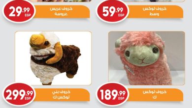 عروض أولاد المحلاوي 11-30 مايو 2026 صفحة 2 - el mahallawy sons offers 11-30 May 2026 page 2