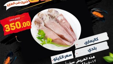عروض المحلاوي 12-13 مايو 2026 صفحة 2 - el mahallawy offers 12-13 May 2026 page 2