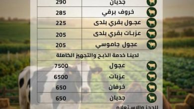 عروض فتح الله 12-7 مايو 2026 صفحة 2