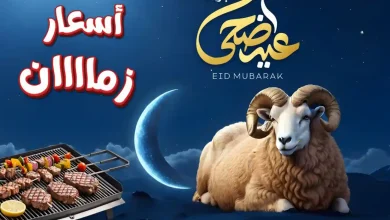 عروض اولاد المحلاوى من 11 مايو حتى 30 مايو 2026 عيد الأضحى