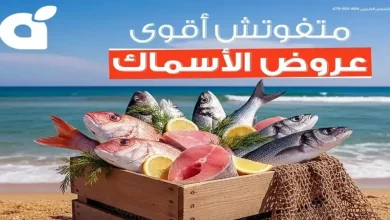 عروض بنده مصر من 14 يونيو حتى 16 يونيو 2026 عروض الاسماك