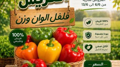 عروض المحلاوي 6-13 يونيو 2026 صفحة 2 - el mahallawy offers 6-13 June 2026 page 2