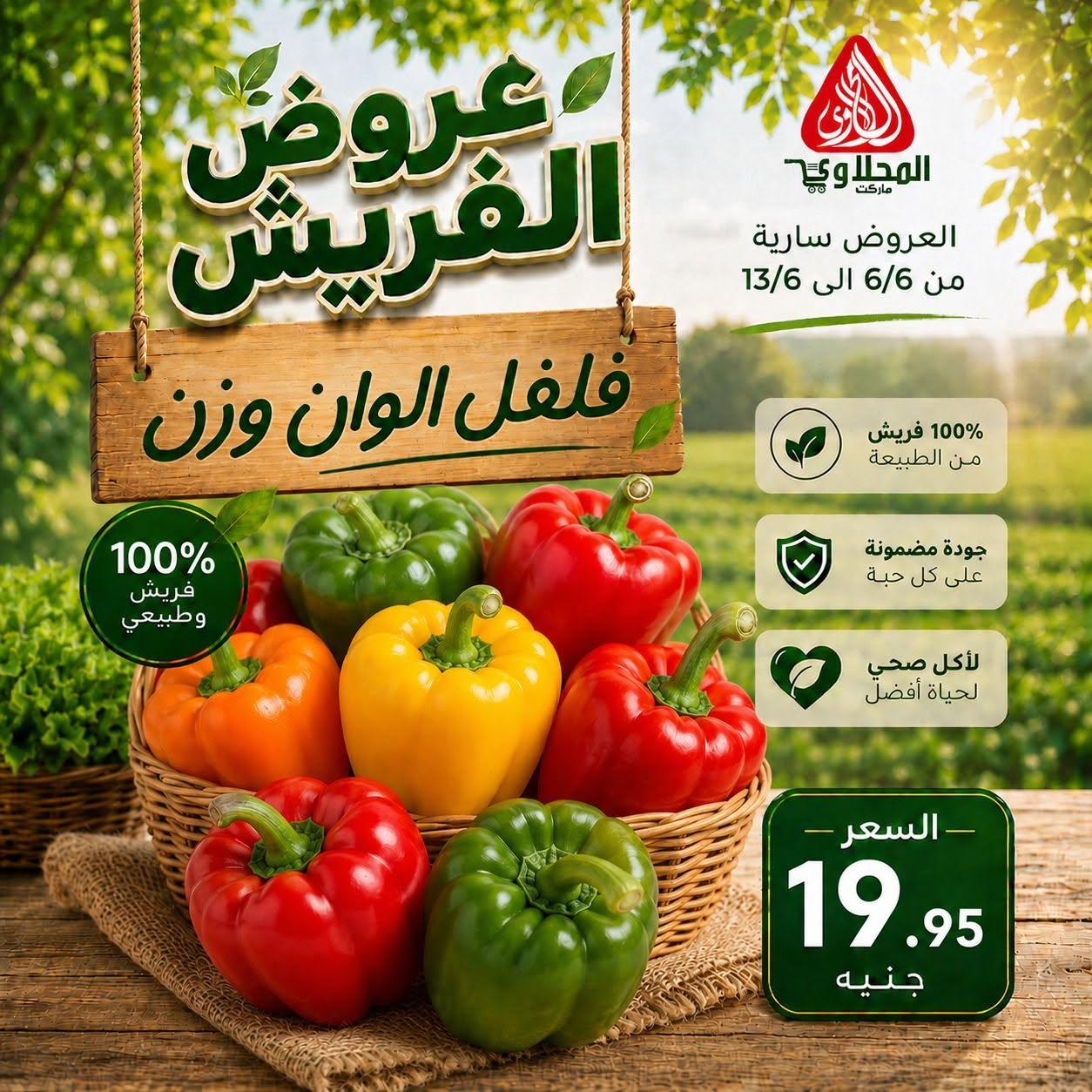 عروض المحلاوي 6-13 يونيو 2026 صفحة 2 - el mahallawy offers 6-13 June 2026 page 2