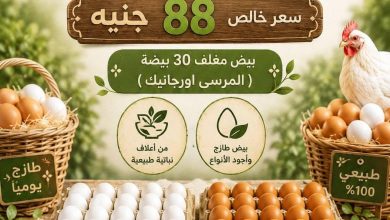 عروض المحلاوي من 9 يونيو 2026  صفحة 2 - el mahallawy offers 9-9 June 2026 page 2