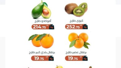 عروض عرفة ماركت 16 يونيو 2026 صفحة 2 - arafa market offers 16-16 June 2026 page 2