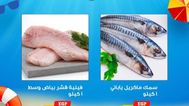 عروض أولاد رجب 15-16 يونيو 2026 صفحة 2 - ragab sons offers 15-16 June 2026 page 2