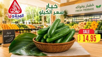 عروض المحلاوي 28 يونيو 2026 صفحة 2