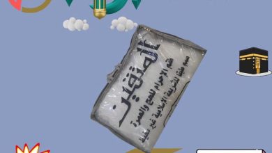 عروض التوحيد والنور 25-31 يوليو 2026