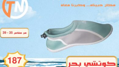 عروض التوحيد والنور 10-30 أغسطس 2026