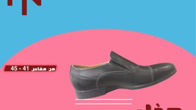 عروض التوحيد والنور 14-30 أغسطس 2026 - مجلة عروض التوحيد والنور