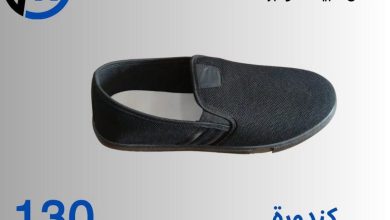 عروض التوحيد والنور 26-31 أغسطس 2026 - مجلة عروض التوحيد والنور