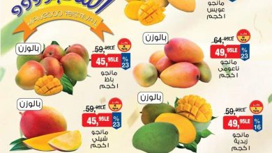 عروض بيم مهرجان المانجو 14-15 أغسطس 2026 - مجلة عروض بيم