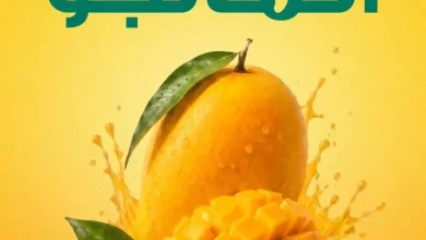 عروض سبينس اليوم 13 - 19 أغسطس 2026 مهرجان المانجو