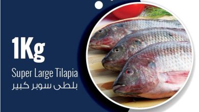 عروض أوسكار 27-29 أغسطس 2026 - مجلة عروض اوسكار ماركت