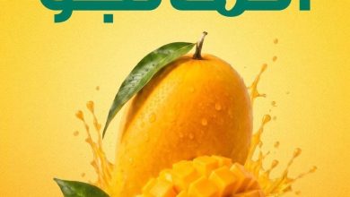 عروض سبينس 13-19 أغسطس 2026 - مجلة عروض سبينس