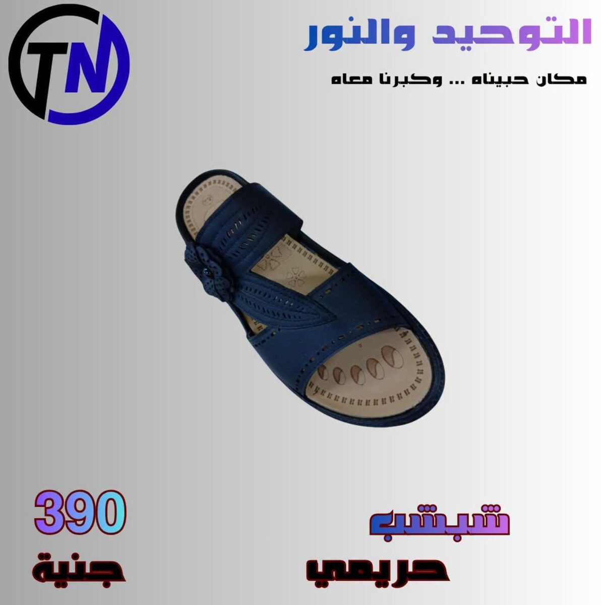 عروض التوحيد والنور 23-30 سبتمبر 2026 - مجلة عروض التوحيد والنور