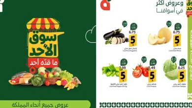 عروض بنده السعودية اليوم سوق الاحد 13 سبتمبر 2026 • عروض نت