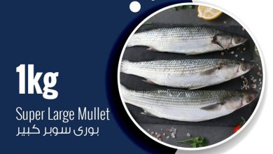 عروض أوسكار 3-5 سبتمبر 2026 - مجلة عروض اوسكار ماركت