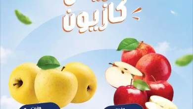 عروض كازيون من 8 حتى السبت 10 أكتوبر 2026 دايما فريش
