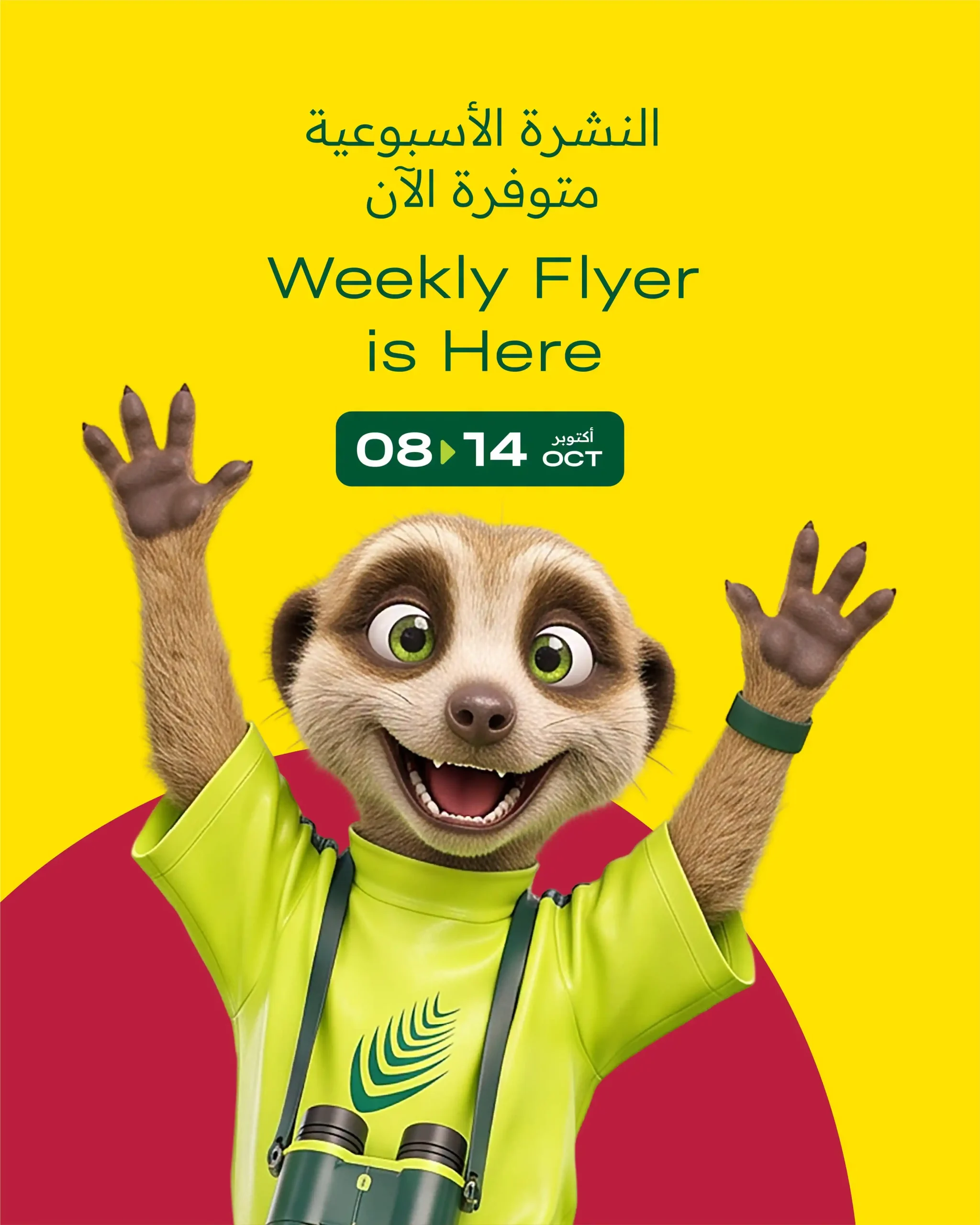 عروض الميرة قطر 8 حتى 14 أكتوبر 2026 النشرة الاسبوعية