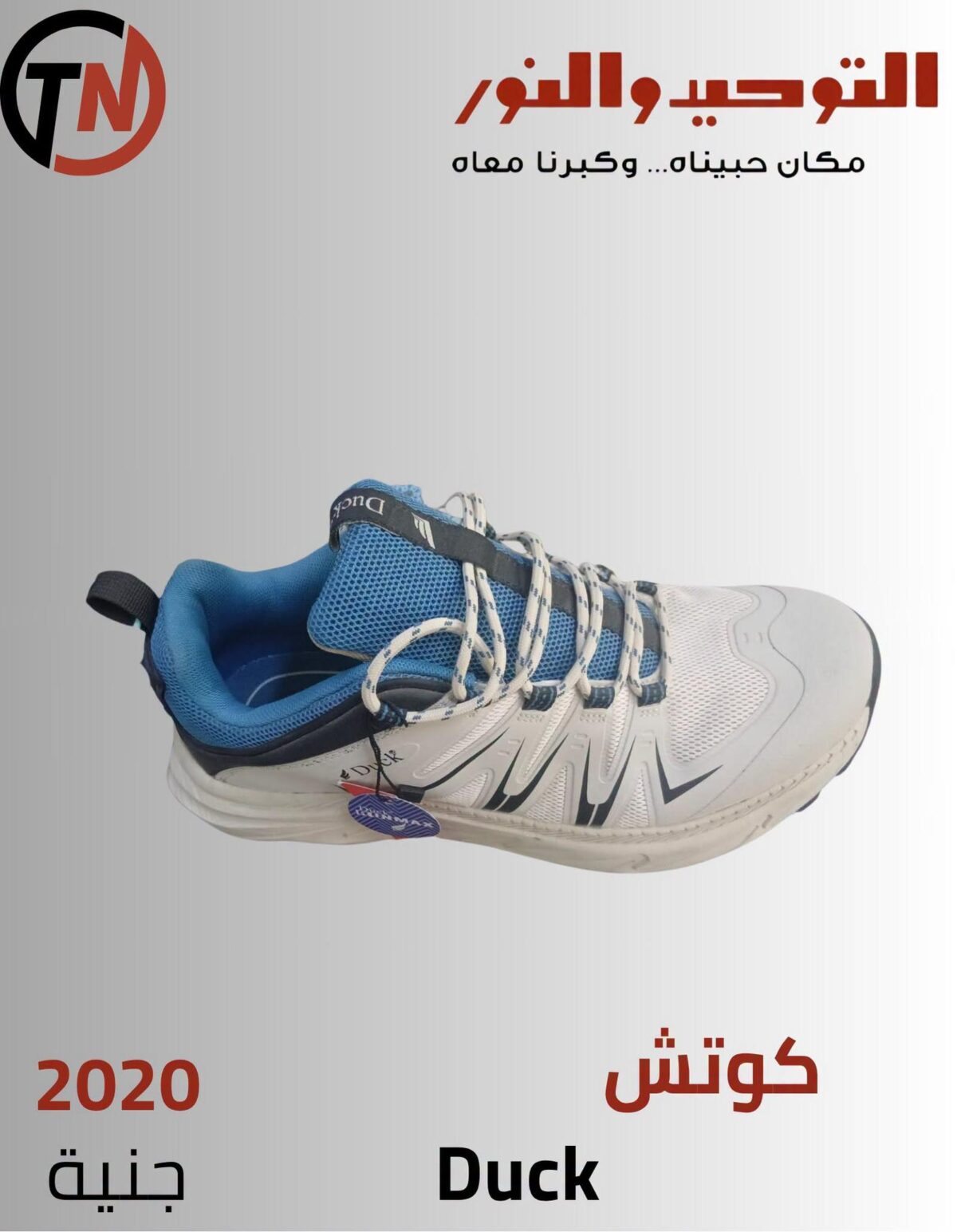 عروض التوحيد والنور 13-30 أكتوبر 2026 - مجلة عروض التوحيد والنور