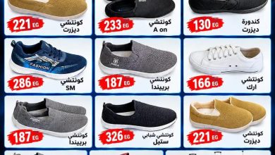 عروض التوحيد والنور 29-31 أكتوبر 2026 - مجلة عروض التوحيد والنور