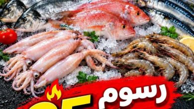 عروض المحلاوي عروض اليوم الواحد 23 أكتوبر 2026